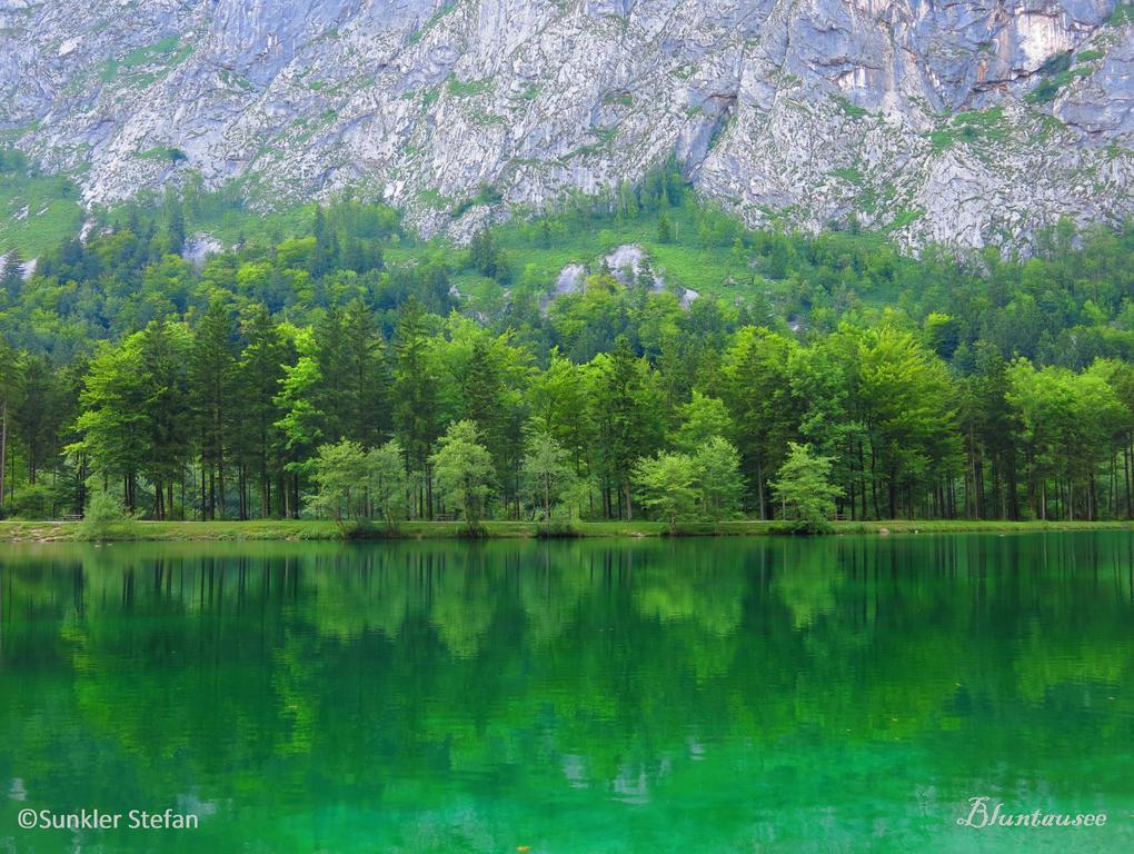 Gaestehaus Sunkler Golling an der Salzach Dış mekan fotoğraf